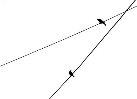 A simple diagram showing a device connecting through a proxy server to a website, with the proxy as the intermediary